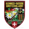 Swiss sewing badge - Alphorn
