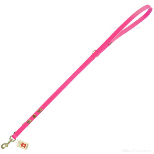 Gold metal cow leather leash