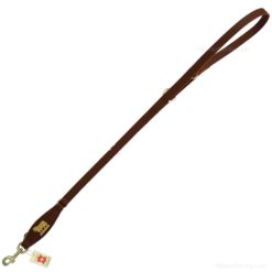 Gold metal cow leather leash