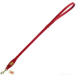 Gold metal cow leather leash