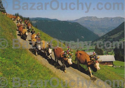 Vaches suisses - Désalpe