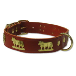 Dog collar - red Appenzellois