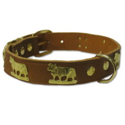 Dog collar - beige Appenzellois