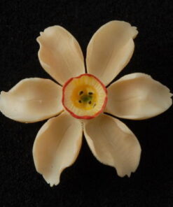 Broche en ivoire - Narcisse