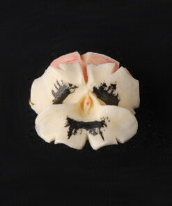 Broche en ivoire - Pensée