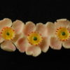 Broche en ivoire - Eglantines