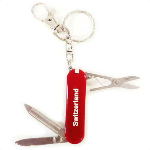 Swiss type knife key ring