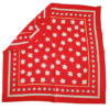 Edelweiss silk scarf