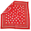 Foulard soie edelweiss