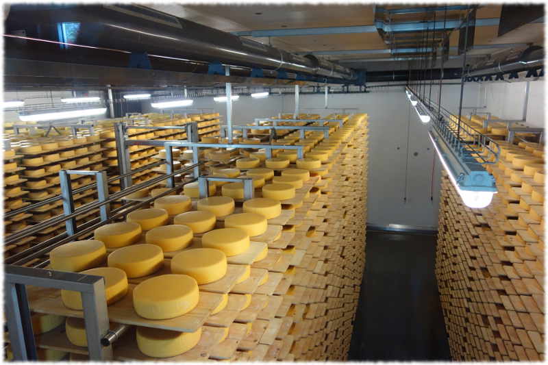 Appenzeller cheese