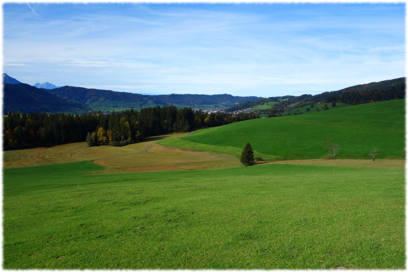 Region près de Ibach