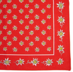 Foulard edelweiss