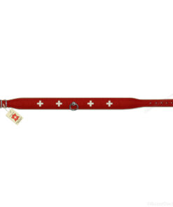 Collier chien croix suisse cuir rouge