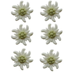 Edelweiss miniature decoration to sew or paste