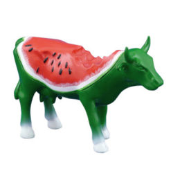 46543_watermelon_cow