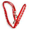 Swiss cross dog leash