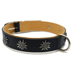 Collier de chien - Edelweiss