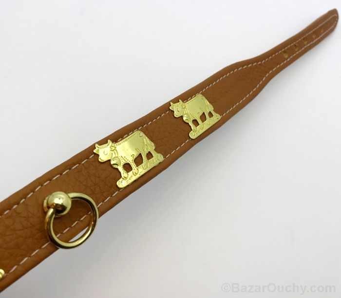 Appenzell dog collar