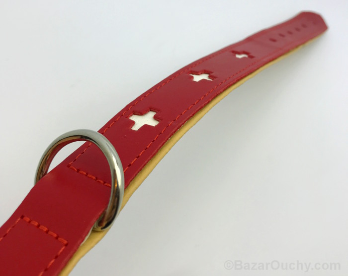 Swiss Red Cross Dog Collar