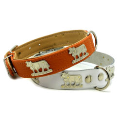 dog collar with golden cow