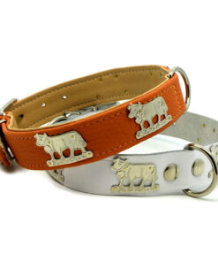 collier pour chien avec vache dorée