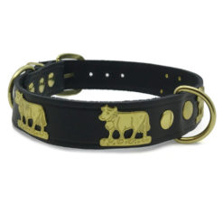 Collar de perro - Appenzellois negro