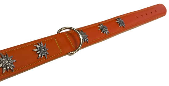 Dog collar with edelweiss metal