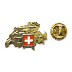 Swiss shape pin