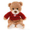 Schweizer Teddybär Schweizer Kreuz