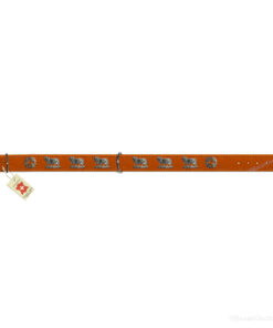 Collier de chien appenzel avec vache