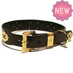 Appenzell dog collar - NEW