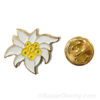 Pins Edelweiss