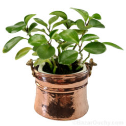 Copper flower pot