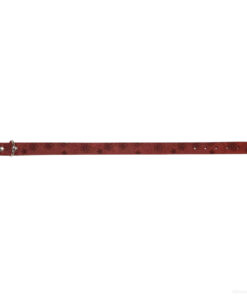 Collier chien cuir suisse - Fleur