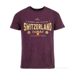 Camiseta suiza infantil