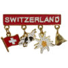 Swiss metal magnet charms