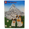 Magnet Magnet - Summer St-Bernard Dog_