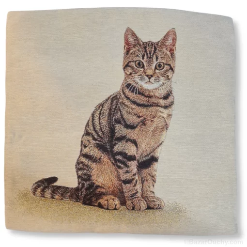 Coussin chat