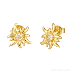 Boucle oreille argent - or