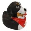 Canard en forme de chien bouvier bernois avec croix suisse