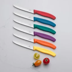 6.7836.6C1 Set couteau Victorinox